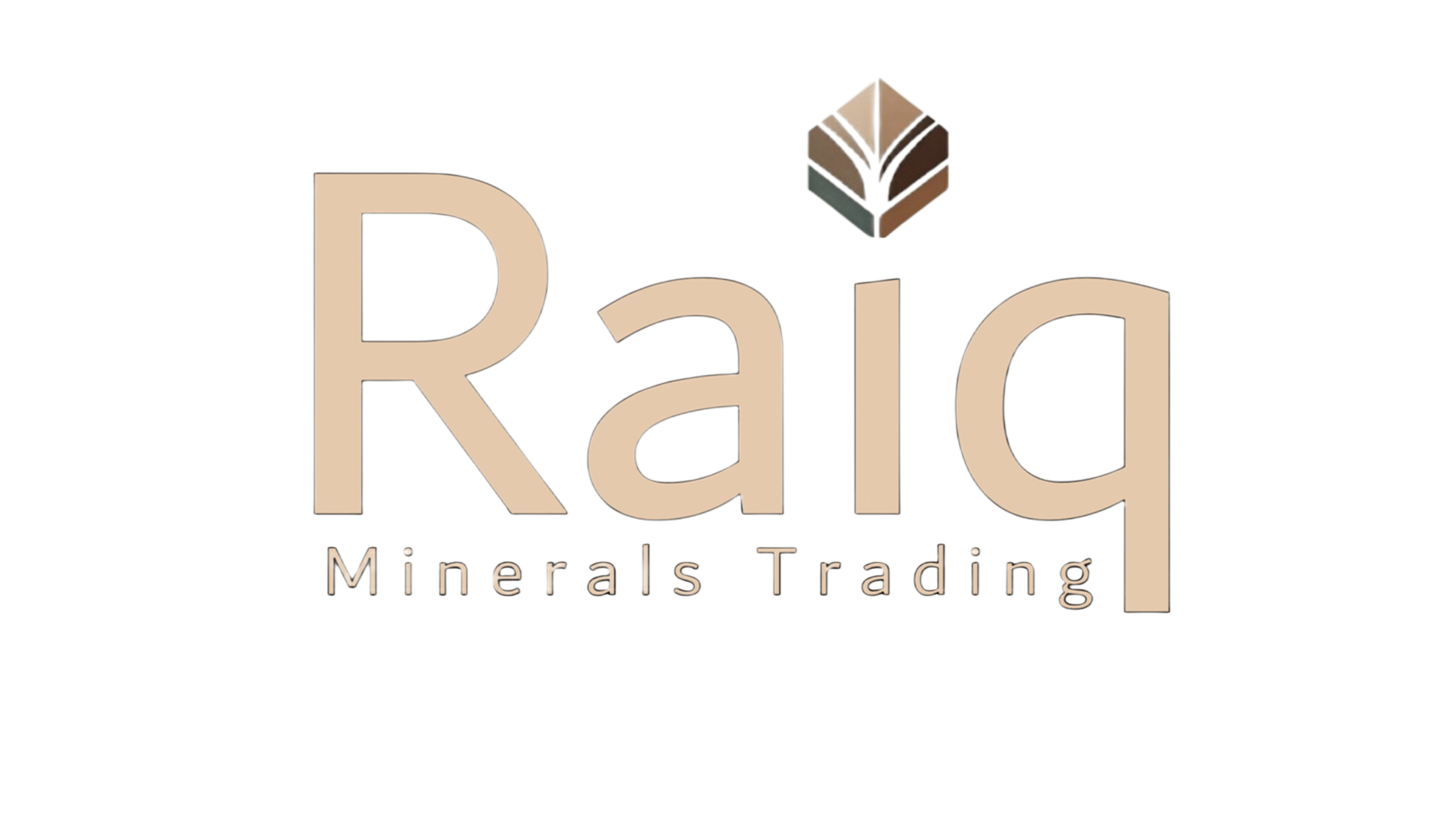 raiq logo